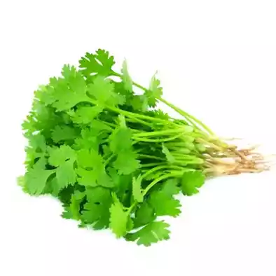 Coriander Leaves Dhonia Pata