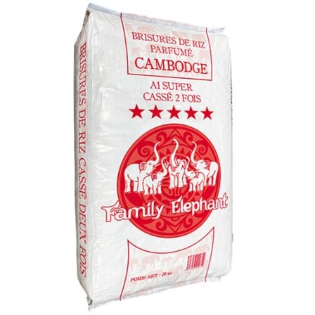 Family Elephant Cambodge